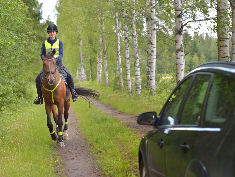 <p>Jos hevonen säikähtää, se voi käyttäytyä arvaamattomasti tai paeta hallitsemattomasti. Kohtaa ratsukko aina maltilla. Kuva: Hannu Miettinen / Liikenneturva.</p>