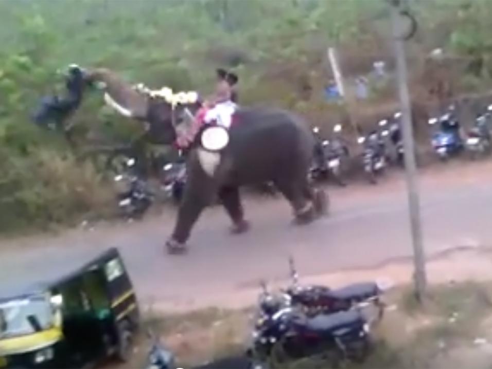 Pillastuneen norsun voimissa moottoripyörä ei tunnu missään. Ei edes pakettiauto.