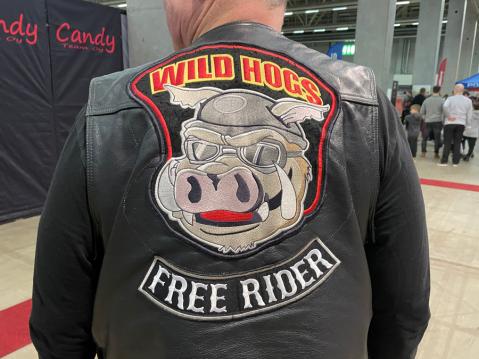 Wild Hogs - Free Rider