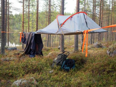 Tentsile Connect Safari puumajoite.