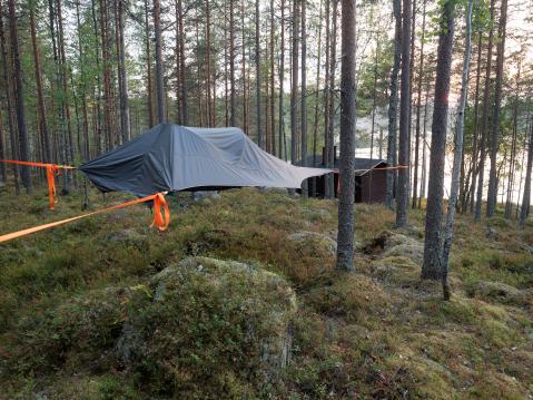 Tentsile Connect Safari puumajoite.