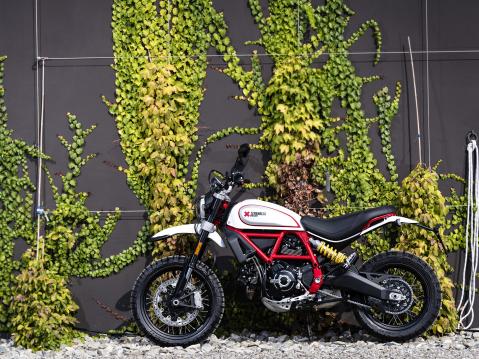 Ducati Scrambler Desert Sled.