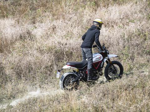 Ducati Scrambler Desert Sled.