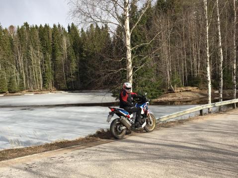 Mies, Africa Twin ja koivu.