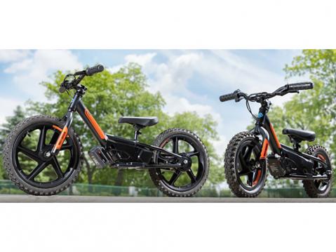 Limited Edition Harley-Davidson IRONe12 ja IRONe16.