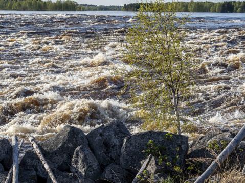 Kukkolankoskessa on melkoisesti pudotusta.