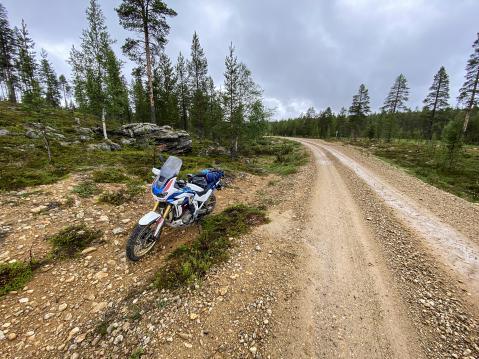 Luonnon helmassa odottamassa Enduro-safarin kuvattavia.