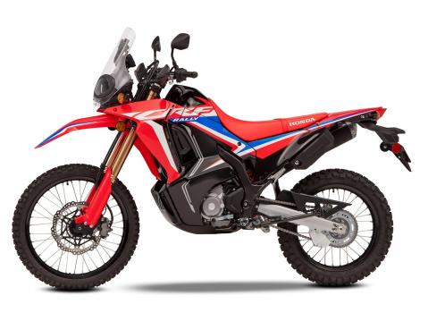 2021 Honda CRF300 Rally.