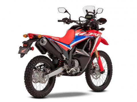 2021 Honda CRF300 Rally.