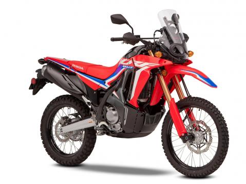 2021 Honda CRF300 Rally.