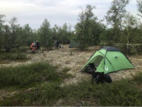 Leiri pystyssä. Teron teltta jää puuston taakse piiloon. Minä ja Juha ollaan niin kovia kuorsaamaan, että on syytä laittaa majoitus hieman kauemmaksi, niin ei yöunet häiriinny. Kuva Anssi Kivinen