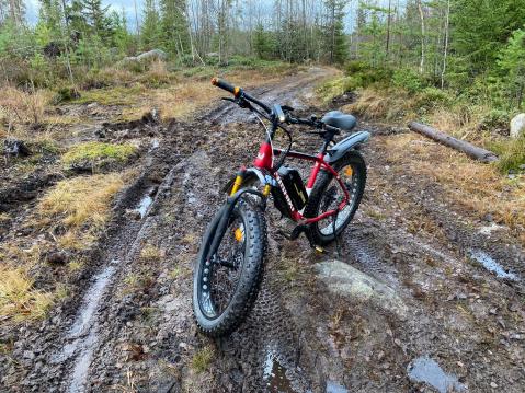 Nishiki Durango 1000W Fatbike.