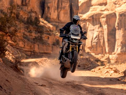 2022 Triumph Tiger 1200 Rally Pro