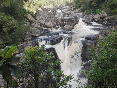 Itäisen Madagascarin sademetsien luontoa.