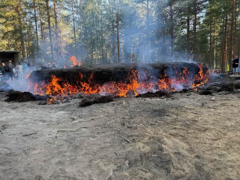 Kuortaneen Kuhinoiden tervahauta mallia 2025.