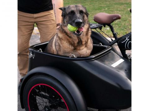 MOD Easy SideCar 3. 'Tämä on minun paikkani, vuh.'