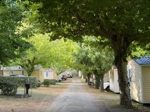 Mobile homet ovat vehreän kujan varrella.