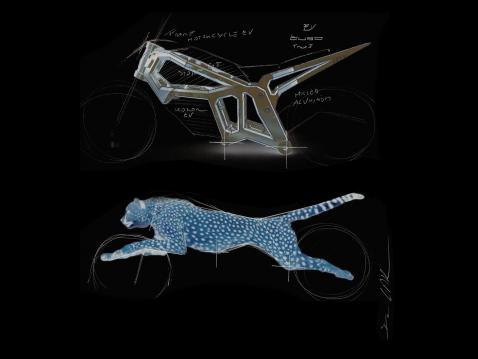 Mask Architectsin Solaris on saanut linjansa leopardilta.