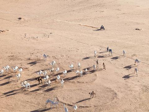 Jose Ignacio Cornejo, Heron tehdastalli, ja jokunen kameli. Kuva A.S.O./F.Gooden/DPPI.