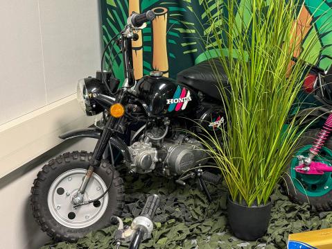 Honda Monkey 'Erikoisuus' Z50J vm. 1996