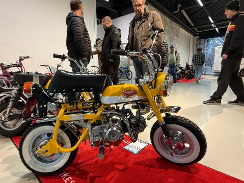 Monkeyversumia ja yleisöä.