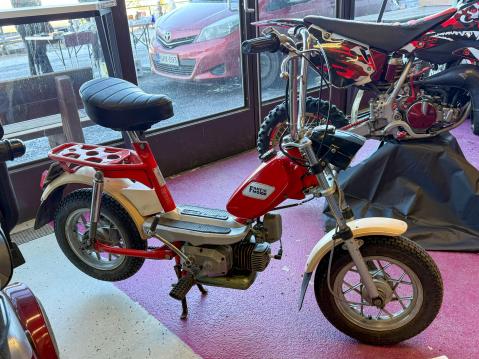 Fantic Motor Cordon Lei vm. 1975 Omistaja: Tuula Viinikka