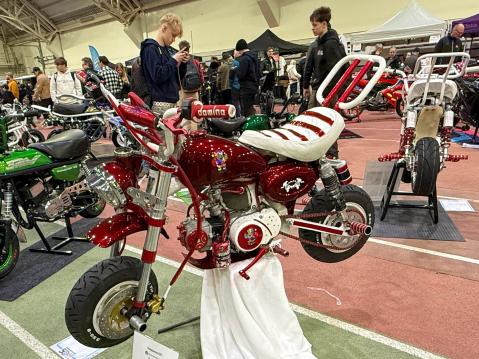 Nro. 36 Jincheng Manki vm. 2015 Omistaja: Jaakko Peltonen