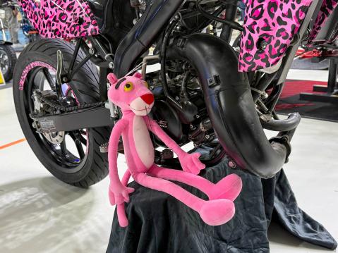 Pink Panther 
