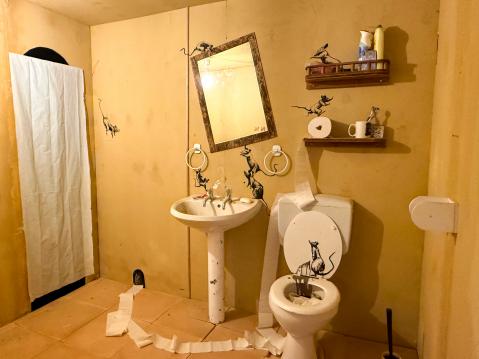 Bathroom Installation on koronavuodelta 2020, minkä Banksy toteutti ilmeisesti kotonaan. Hän julkaisi siitä sarjan kuvia Instgram-tilillään kuvatekstillä: 'Vaimoni vihaa sitä, kun työskentelen kotoa käsin'.