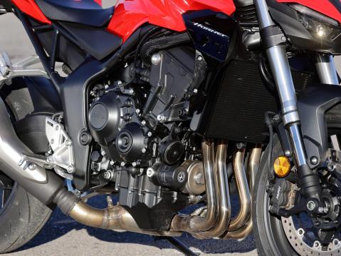 Honda Hornet.