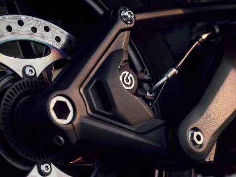 Tiger 1200 GT Pro 2027.