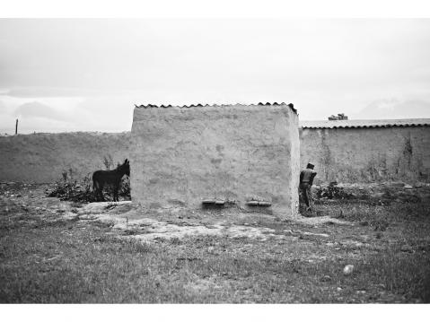 Shary-Mogul – KYRGYZSTAN 28 July 2015. A donkey hides from a boy as he tries to catch him.