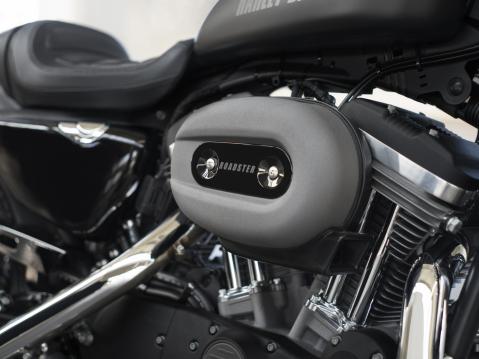 2016 Sportster Roadster XL 1200CX.