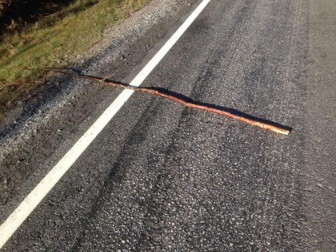 Näin pieni keppi ei vielä ole uhka motoristille, mutta käyköön esimerkkinä tiellä olevasta satunnaisesta esteestä.