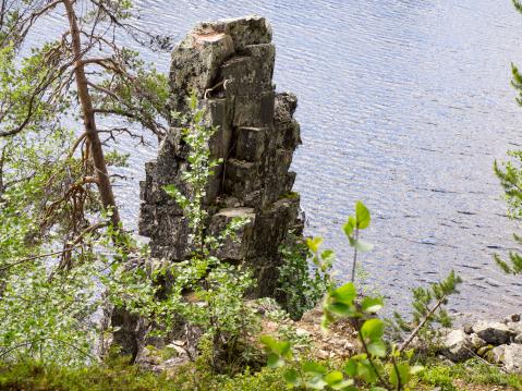 Kuvassa näkyy seidasta noin neljännes.