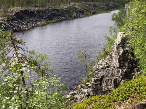 Taatsin seita - mitä mahtaa miettiä?