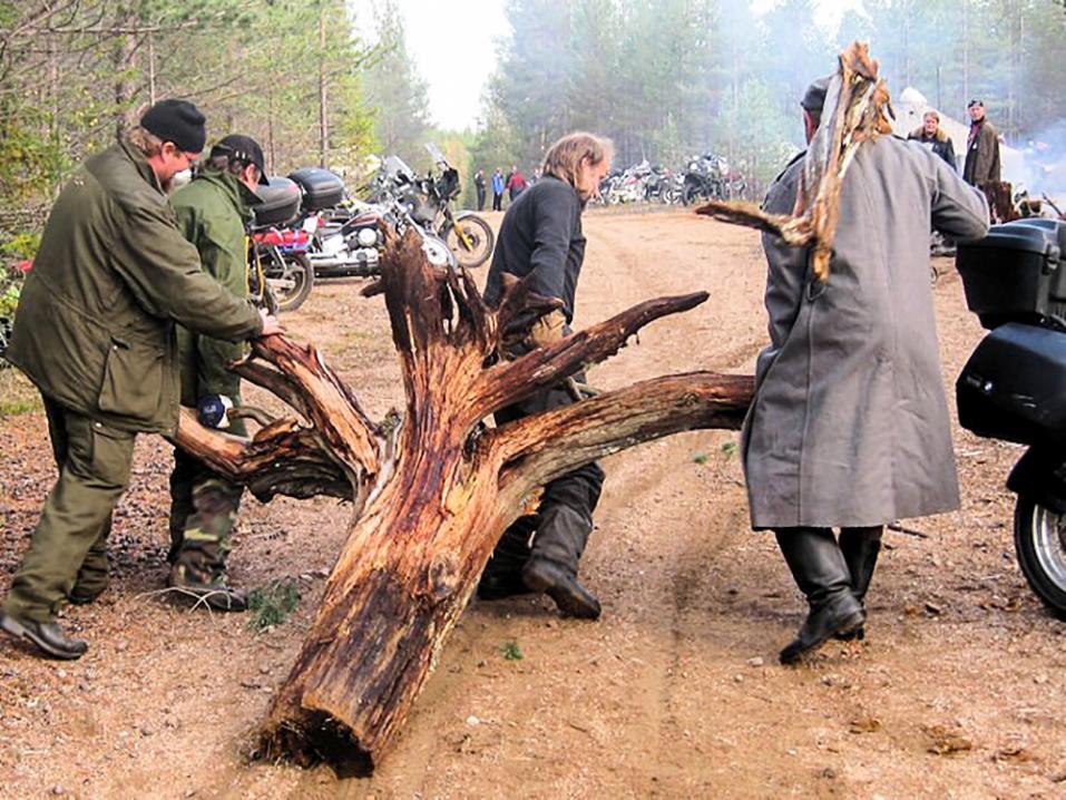 Pohjoisen Pystymettä mallia 2011. Kuva Jarkko Laukkanen.