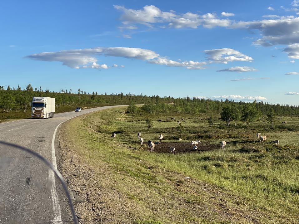 Porotokka Saariselällä Kaunispään pohjoispuolella Inariin vievän tien varressa 28.6.2020.