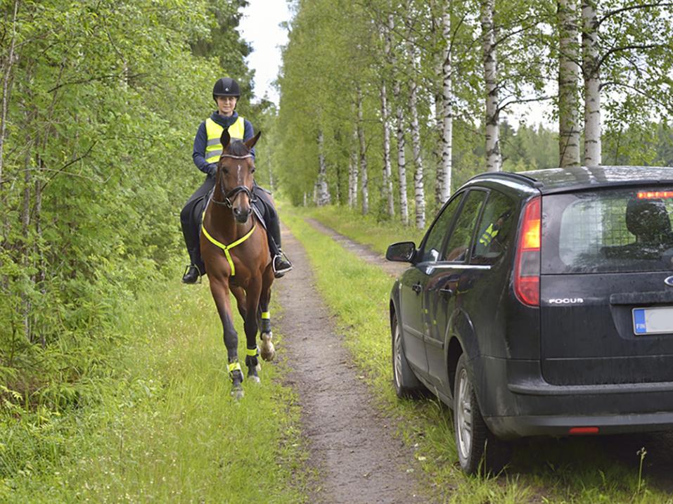 Käsimerkit opastavat liikenteessä. Pystyssä oleva käsi pyytää pysähtymään ja käden heilautus jatkamaan matkaa. Älä pysähdy, jos sitä ei erikseen pyydetä. 