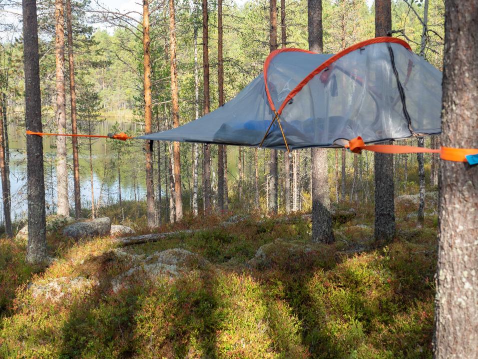Tentsile Connect Safari puumajoite. Tässä ilman sadekatosta näkyy hyvin, miten läpinäkyvä itse telttaosa on.