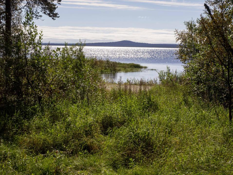 Oivallinen paikka etäajotapahtuman virtuaalijärjestelyille: Sompiojärvi. Onneksi ensi kesänä on hyvät kelit luvassa?