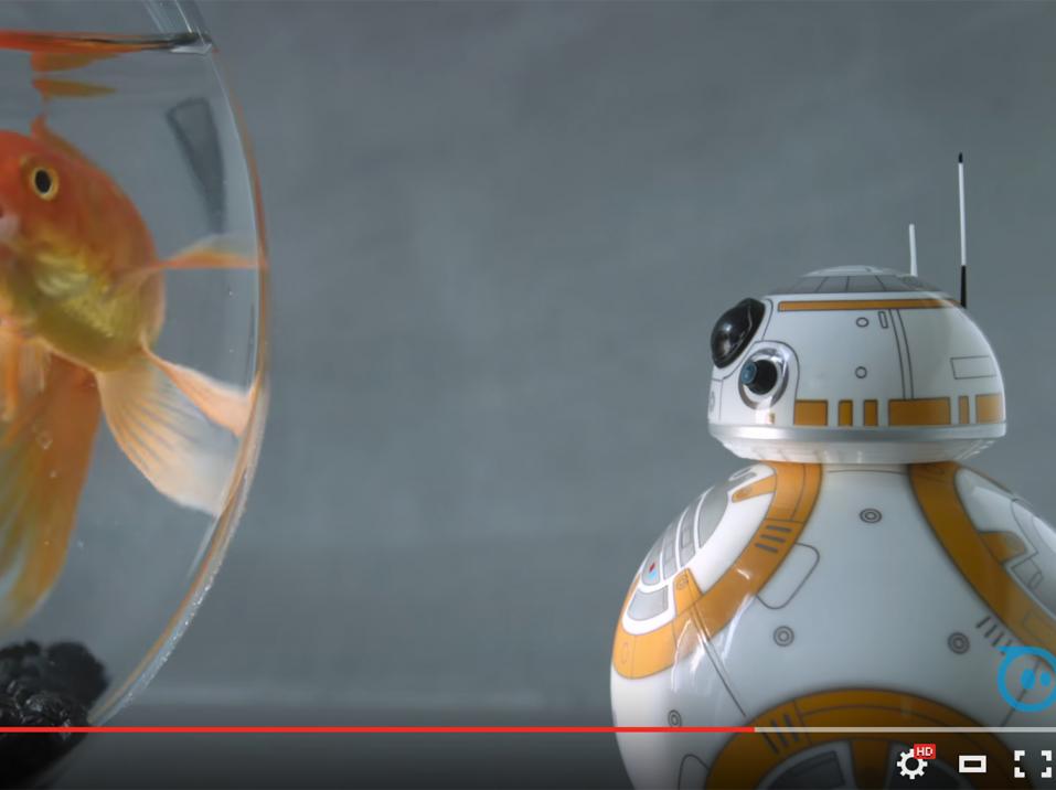BB-8-droidi.