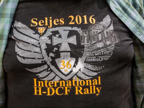 Seljes 2016, International H-DCF Rally