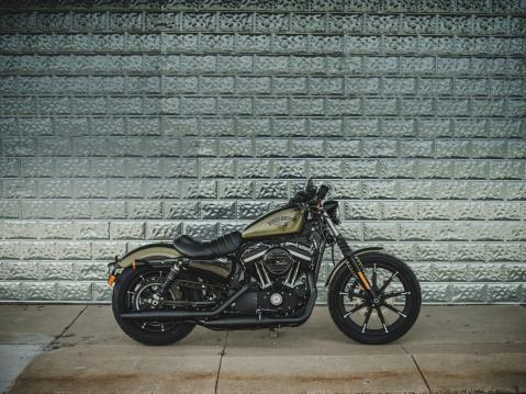 Harley-Davidson Iron 883 vuosimallia 2016.